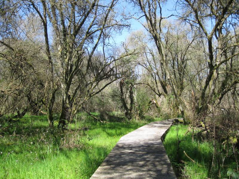 Randonnée : Sentier de la Mazelle