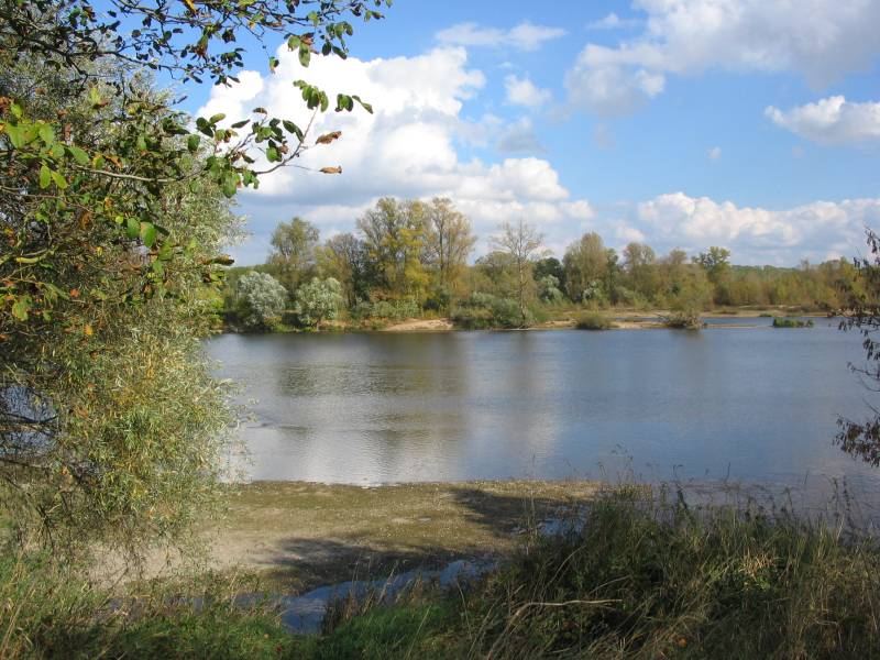 Randonnée : Sentier des Saulnières