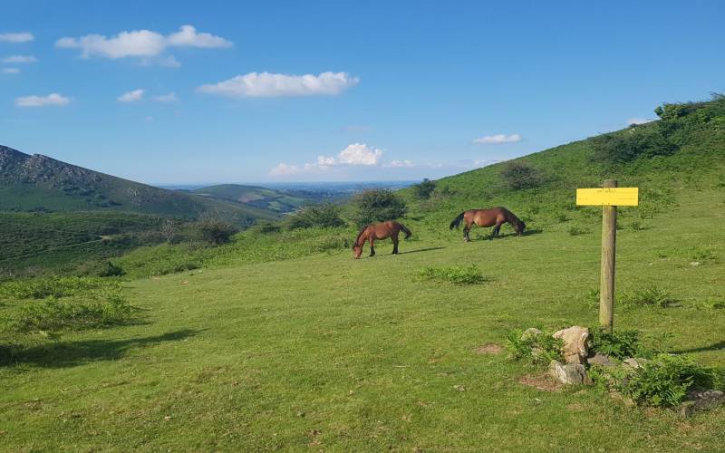 Randonnée : Le sentier des contrebandiers - De Sare à Biriatou - équestre