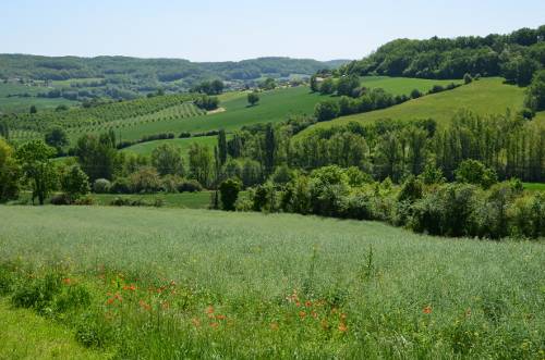 Randonnée : Saint-Thomas, par Saint-Just et Piquepoul