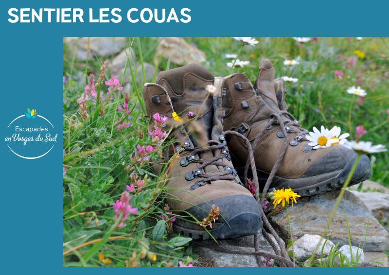 Randonnée : SENTIER LES COUAS