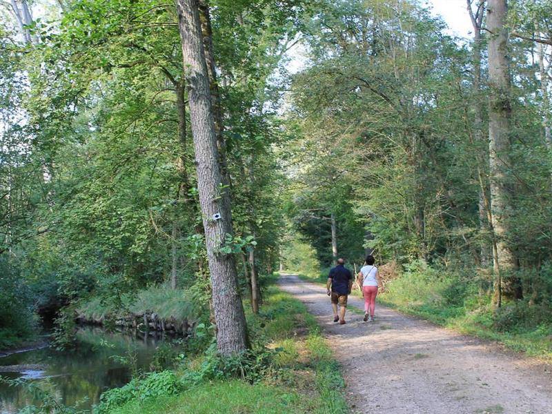 Randonnée : La Boucle Verte