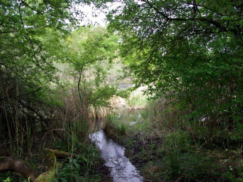 Illustration : Sentier des sources
