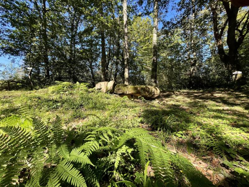 Randonnée : N°85 Bois de Goès-Précilhon