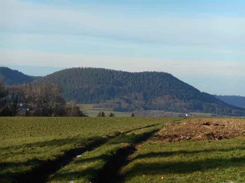 Randonnée : Circuit pédestre - La Folie - La Croix de l'Ormeau