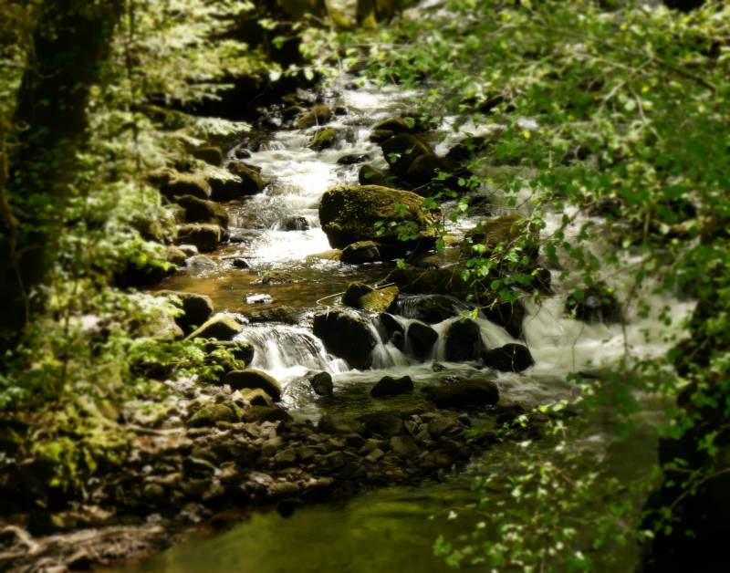 Randonnée : Circuit n°7 - Chemins des 3 Corrèzes
