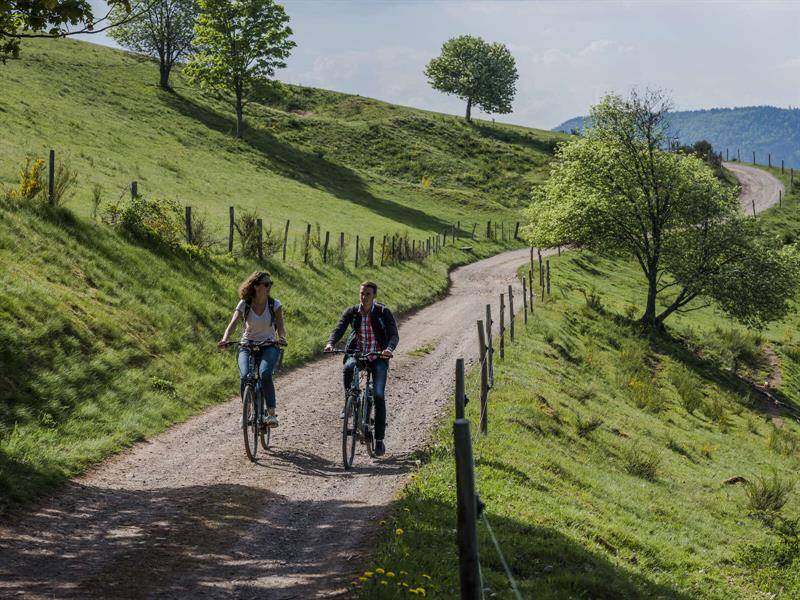 Randonnée : Circuit VTT D04 : Sur les contreforts alsaciens du Donon