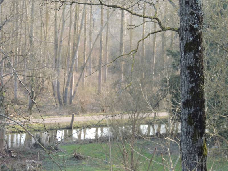 Randonnée : La Vallée de l'Oeuf