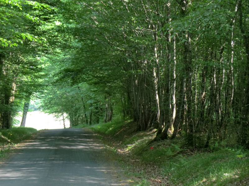 Randonnée : Boucle de détente à Saint-Michel l'Ecluse et Léparon