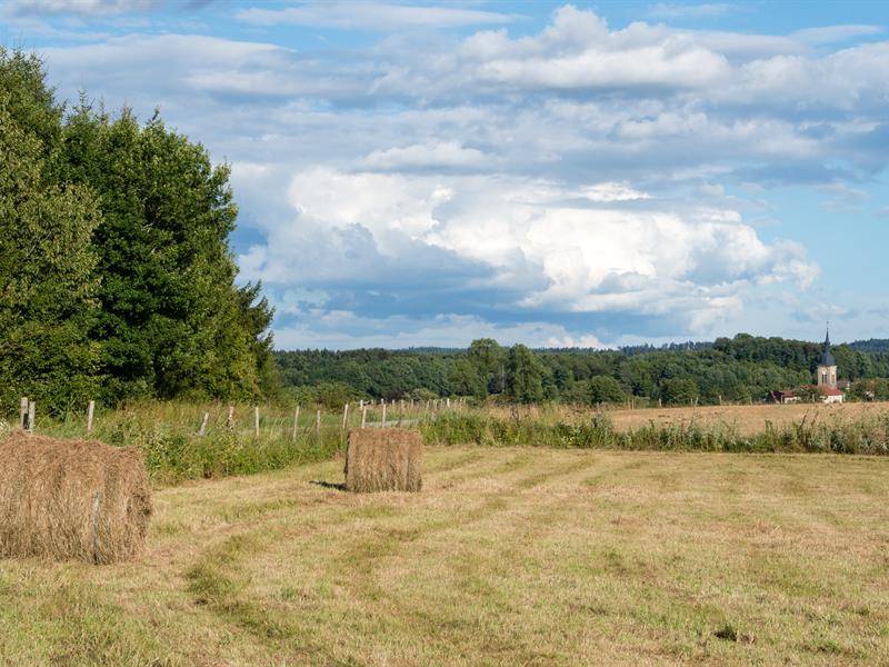 Randonnée : Géocaching - Le trésor de l'Arentèle