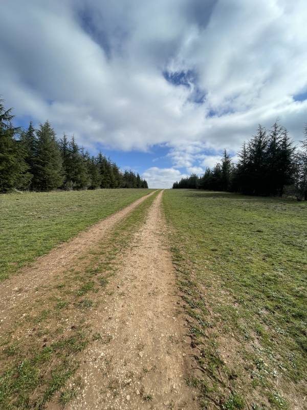 Randonnée : Des falaises de Saint-Cirq-Lapopie à la forêt de Monclar
