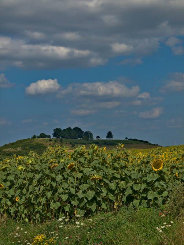 Randonnée : Le chemin du feugnot