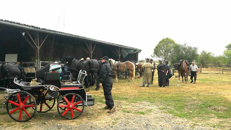 Randonnée : La Brenne à cheval : circuits en marguerite au départ des chambres d'hôte du Paillé