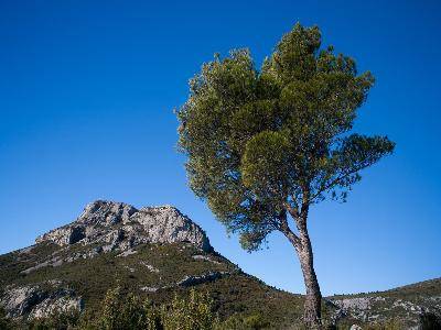 Randonnée : Aubagne : Le piemont du Garlaban