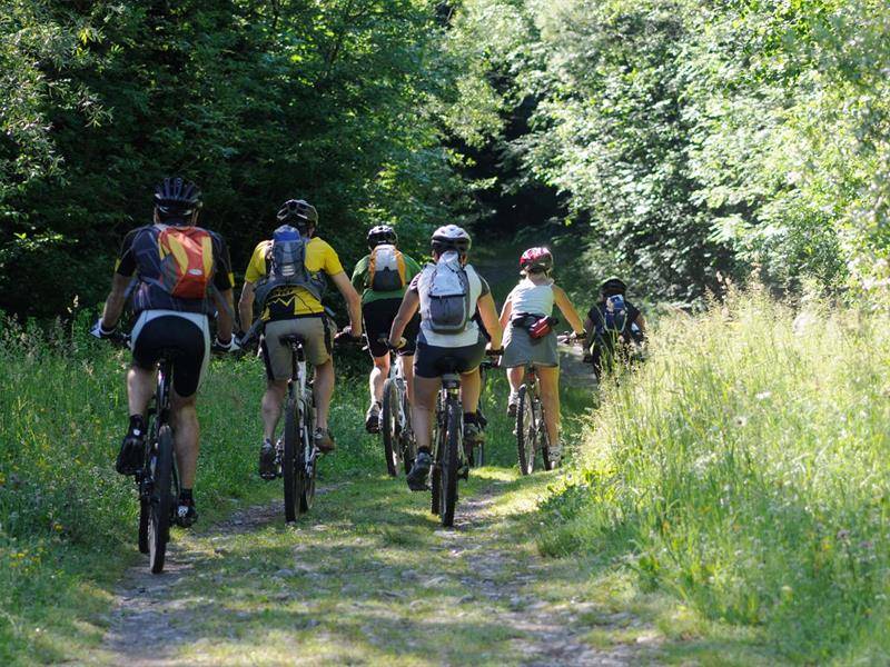 Randonnée : Circuit VTT du Finsterkopf