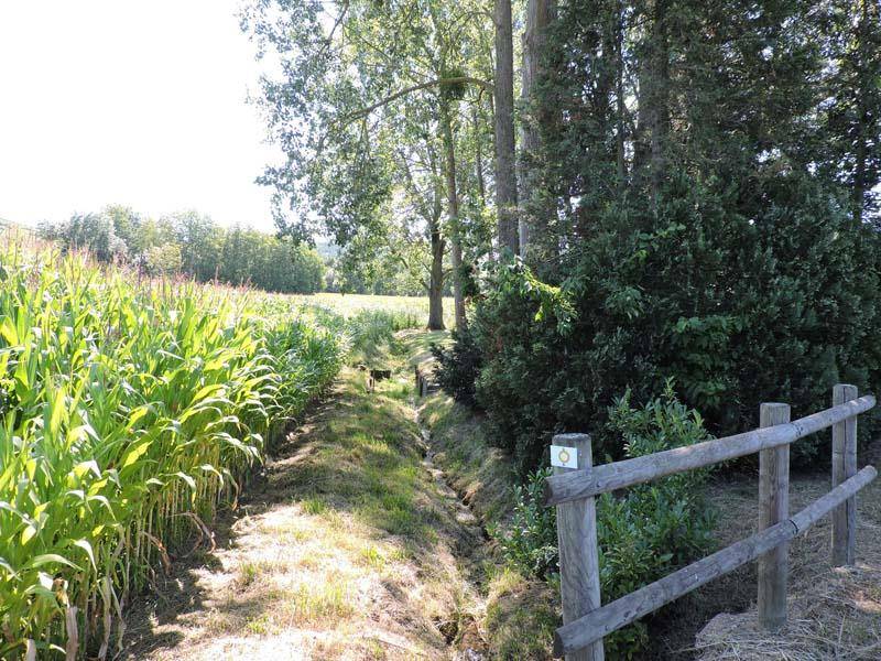 Randonnée : Randonnée Sentier des croix et oratoires - parcours total
