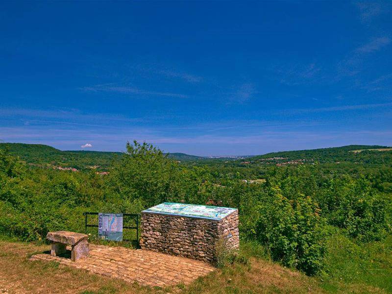 Randonnée : Route des vins de Moselle - Pays Messin