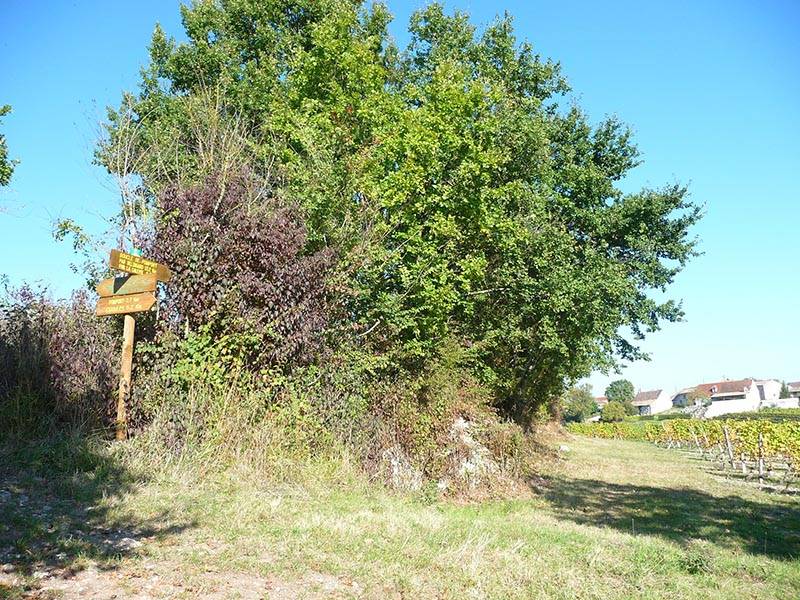 Randonnée : Boucle de Pomport