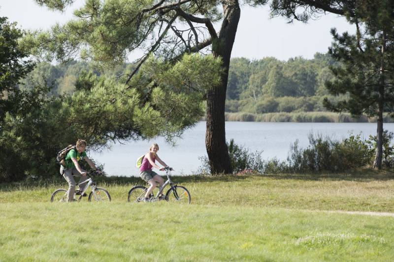 Randonnée : Circuit VTT - De la forêt de Lancosme aux étangs