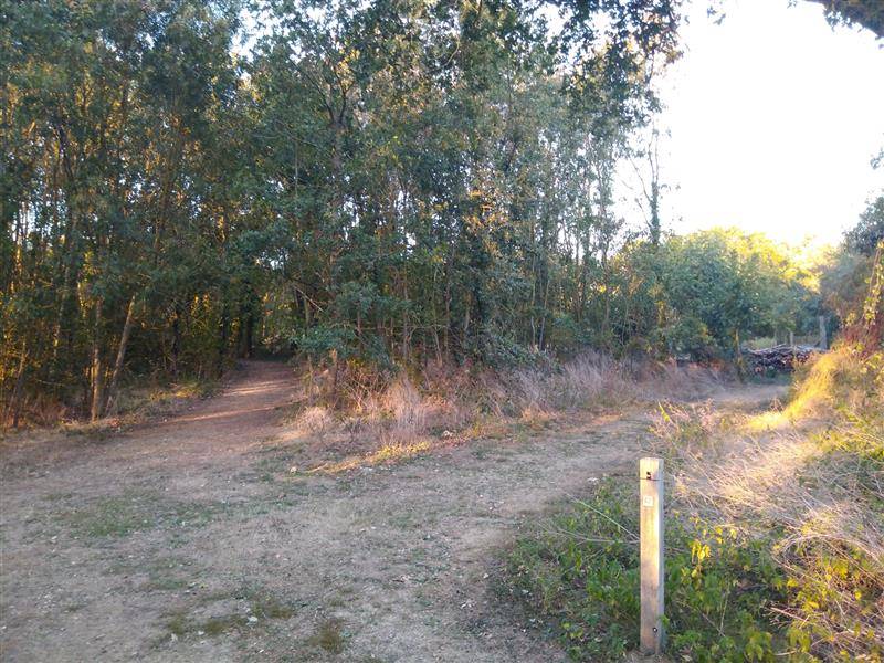 Randonnée : Parcours d'orientation du Lac du Cébron