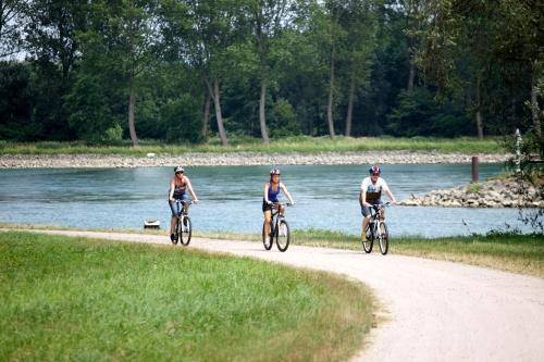Randonnée : Circuit vélo : des villages pittoresques aux bords du Rhin