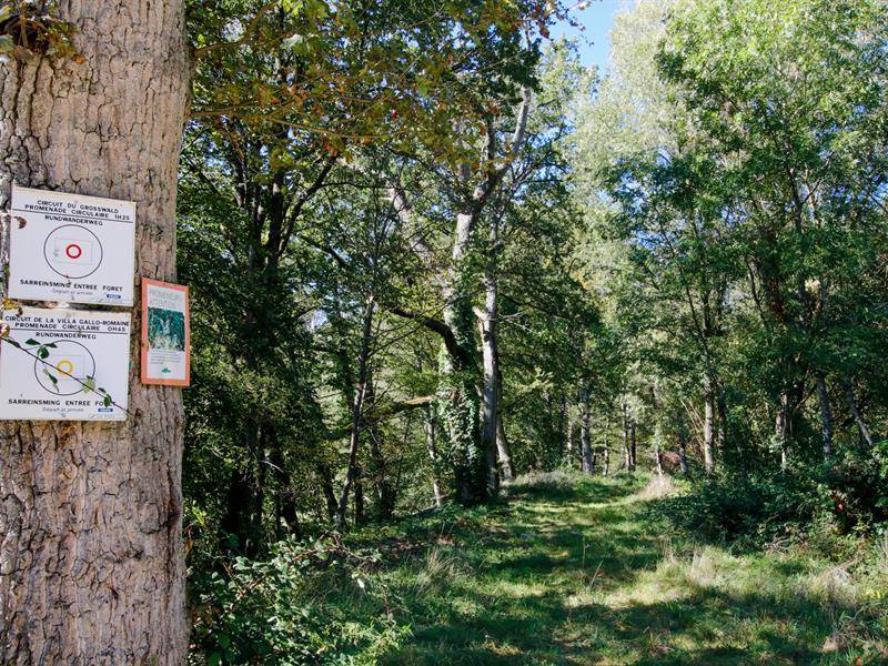 Randonnée : Le Grosswald