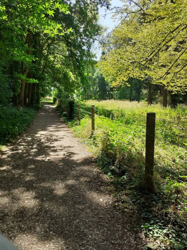 Randonnée : Sentier du parc de Gourdez et bois de Morancez