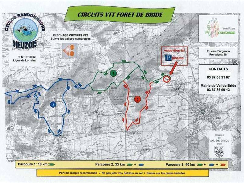 Randonnée : Circuits VTT en forêt de Bride