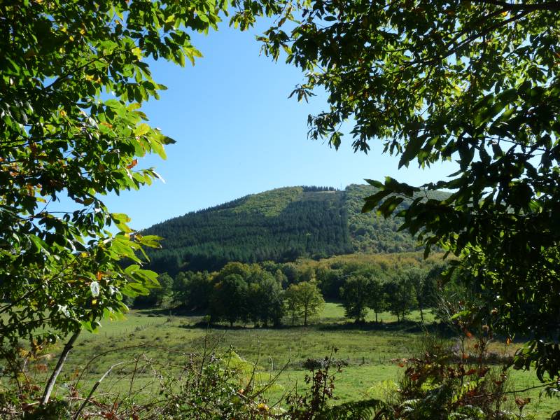 Randonnée : Puy d'Orliac