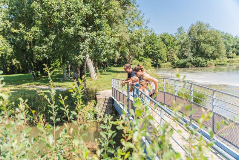 Randonnée : La Vallée des Buis