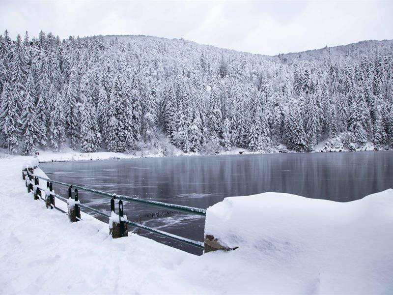 Randonnée : Balade en raquettes au Tanet : Circuit 1 Boucle du Lac Vert
