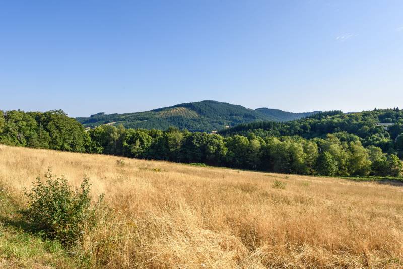 Randonnée : Le Bois du cochon