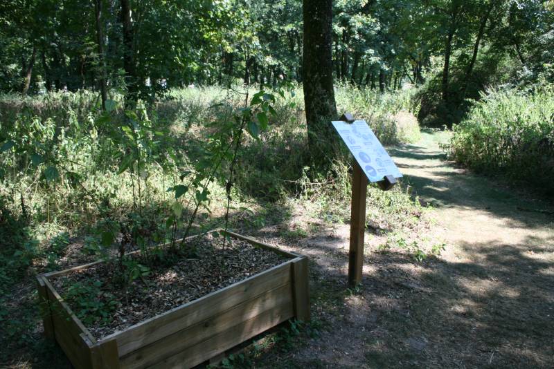Randonnée : Sentier sensoriel de l'île de Caqueret