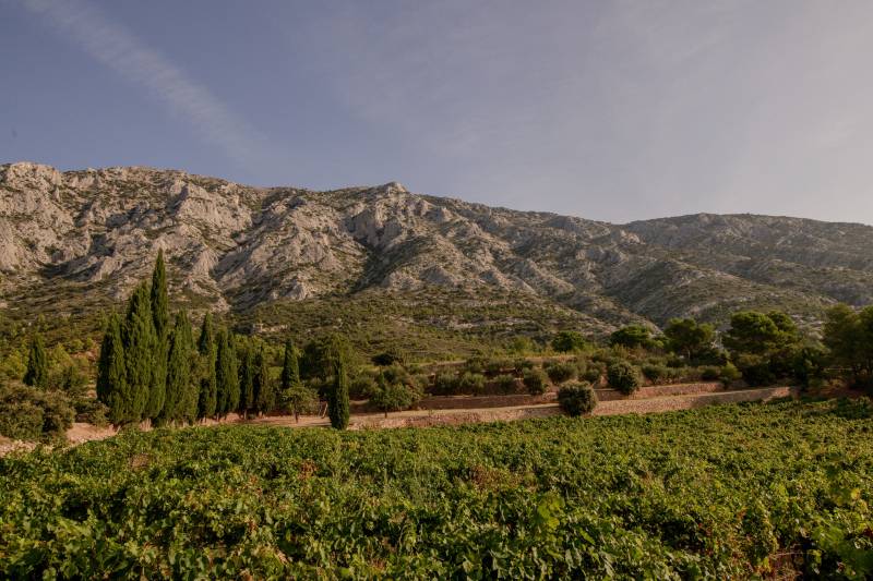 Randonnée : Tour de la montagne Sainte Victoire