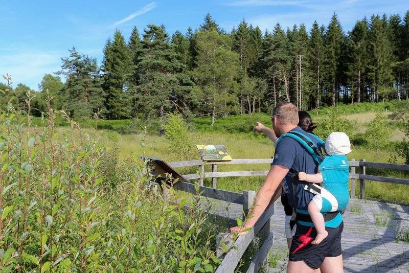 Randonnée : Le sentier de la tourbière du Col de la Blanche