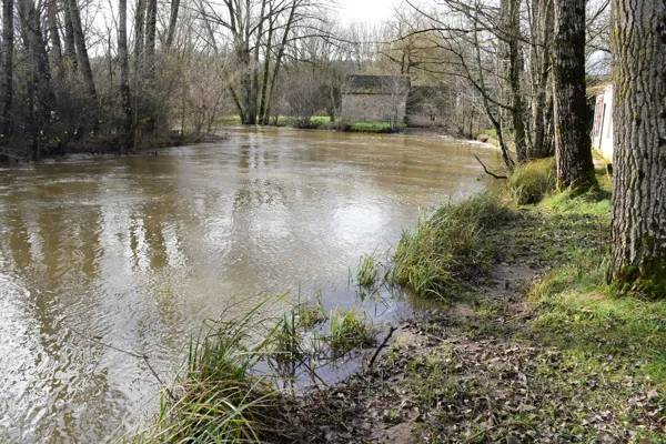 Randonnée : L'Aveyron à Laissac (lâchers de truites)