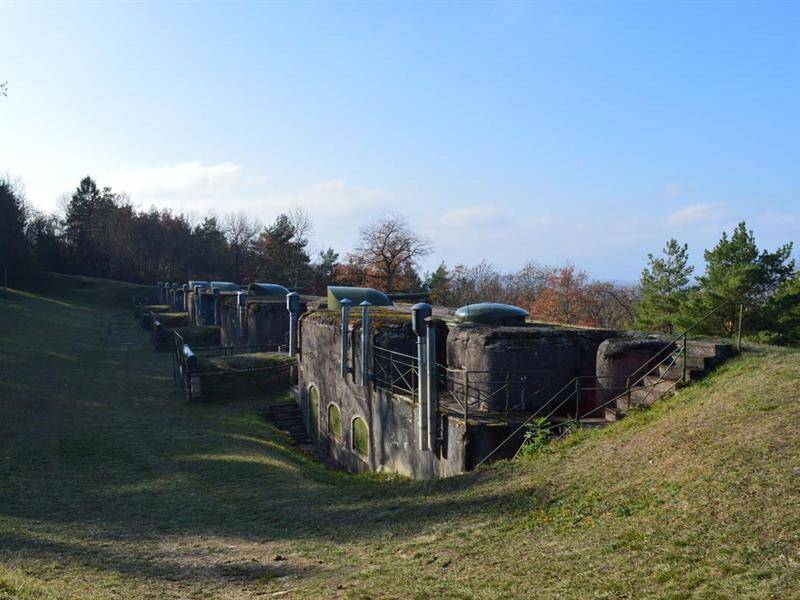 Randonnée : Randonnée Sur les traces d'un géant