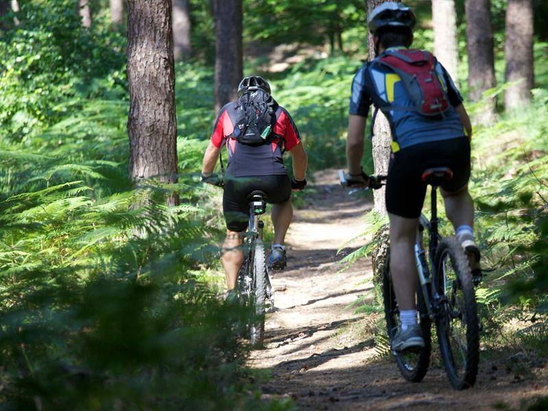 Randonnée : Circuit VTT du Taubensee