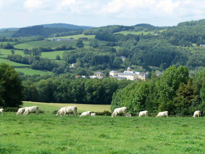 Randonnée : Circuit de Rangère