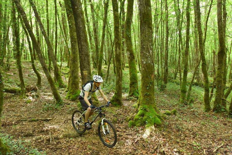 Randonnée : Circuit VTT n°32