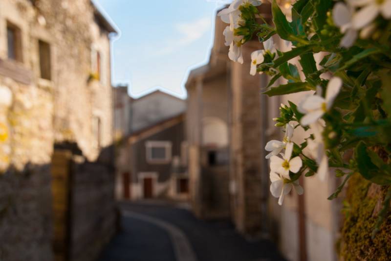 Randonnée : Le sentier du Petit Monteil et de Lavalette