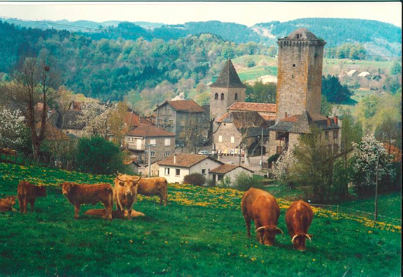 Randonnée : Dans les Châtaigneraies du Ségala