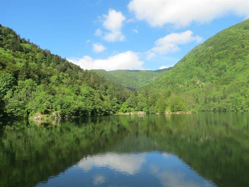 Randonnée : Balade ferme-auberge Hinteralfeld : Dans le cirque de l'Alfeld