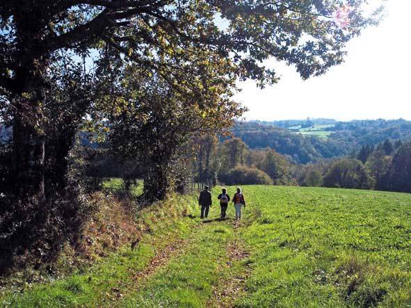 Randonnée : Sentier Boucle du Parleur