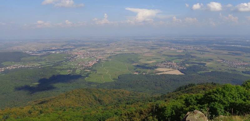 Randonnée : Balade : Le versant Sud du Molkenrain