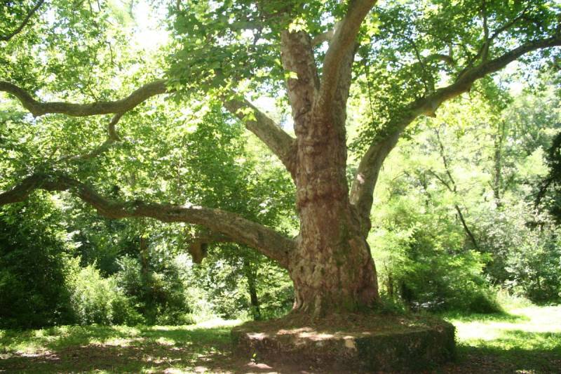 Randonnée : La Grande Boucle du Parc : Etape 5 : Les Salles Lavauguyon à Rochechouart