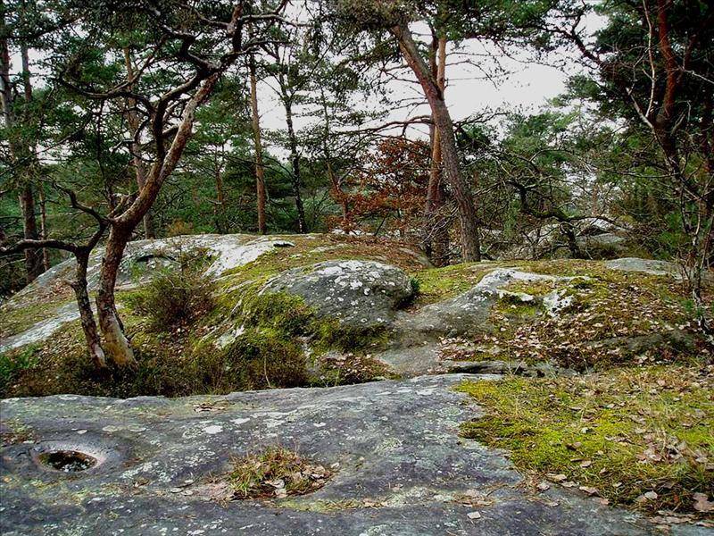 Randonnée : Circuit de Buthiers