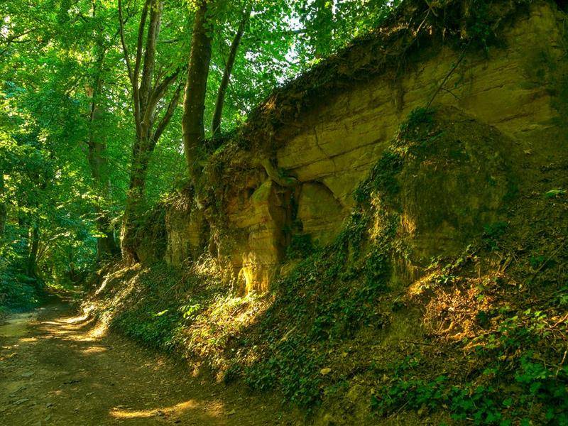Randonnée : La source de Charlemagne en VTT