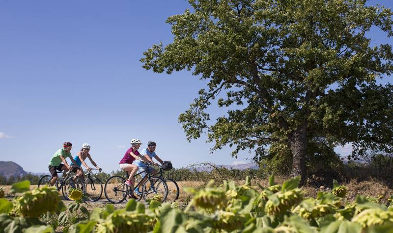 Randonnée : Parcours Cyclotourisme pour découvrir Istres