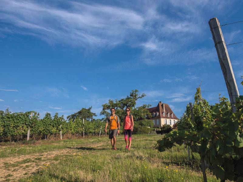 Randonnée : Crouseilles : entre vignes et château